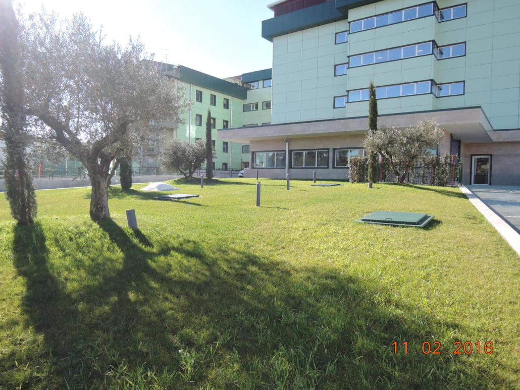 DSCN3513